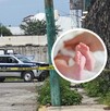 Vecinos encuentran cuerpo de bebé dentro de cubeta con basura en la colonia Flores Magón, Cuernavaca. Vecinos encuentran cuerpo de bebé dentro de cubeta con basura en la colonia Flores Magón, Cuernavaca.