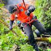 Barranca Colimilla rescate Barranca Colimilla rescate