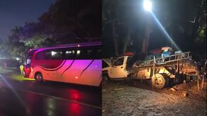 Accidente en Veracruz dejó 7 lesionados. Obras sin señalización y lluvia provocaron el choque entre un autobús y una camioneta con equipo de apicultura.