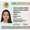 La CURP biométrica incluirá datos como fotografía del titular, huellas dactilares y el escaneo de iris. La CURP biométrica incluirá datos como fotografía del titular, huellas dactilares y el escaneo de iris.
