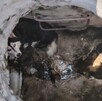Un Husky fue rescatado tras caer en una alcantarilla de Zapopan y dos perros maltratados fueron salvados tras cateo en una casa de Guadalajara. Un Husky fue rescatado tras caer en una alcantarilla de Zapopan y dos perros maltratados fueron salvados tras cateo en una casa de Guadalajara.