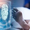 Guanajuato tendrá plan con inteligencia artificial para identificar 974 cuerpos no reclamados y garantizar su entrega digna a familias. Guanajuato tendrá plan con inteligencia artificial para identificar 974 cuerpos no reclamados y garantizar su entrega digna a familias.