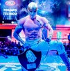 Ocho figuras del CMLL serán los encargados de buscar a los finalistas por uno de los trofeos más importantes de la Lucha Libre