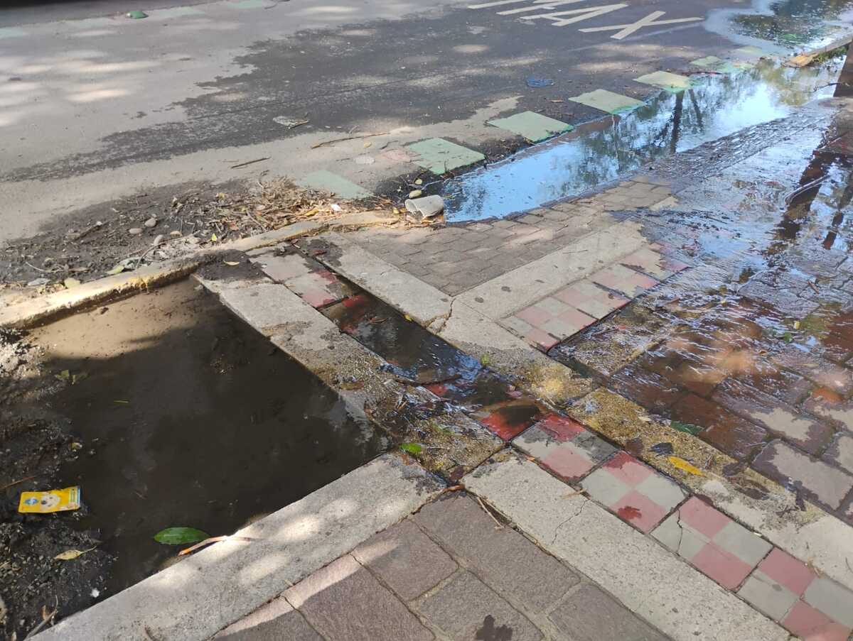 Los vecinos insisten que han reportado la fuga pero las autoridades no lo han atendido