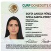 La CURP biométrica incluirá datos como fotografía del titular, huellas dactilares y el escaneo de iris. La CURP biométrica incluirá datos como fotografía del titular, huellas dactilares y el escaneo de iris.