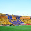 Esto todo lo que no se ha contado del origen de la afición de Tigres.