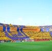 Esto todo lo que no se ha contado del origen de la afición de Tigres. Esto todo lo que no se ha contado del origen de la afición de Tigres.