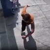 Niña abusada Guadalajara
