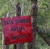 Se han tenido delitos de despojo en 31 municipios de Nuevo León Se han tenido delitos de despojo en 31 municipios de Nuevo León