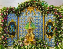 Zapopan Virgen Visitas
