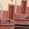 Un divertido momento vivieron los habitantes de una comunidad en San Luis Potosí luego de que dos lomitos juguetones hicieron un llamado a misa.
