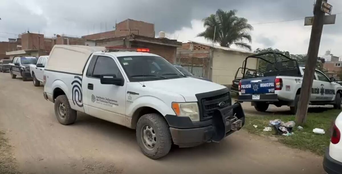 Un hombre fue detenido en Ciudad Guzmán por su presunta implicación en la muerte de un niño de dos años; investigan los hechos.