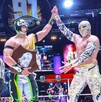 El meteorito humano logró vencer a su compañero Máscara Dorada en el ring de la Arena México El meteorito humano logró vencer a su compañero Máscara Dorada en el ring de la Arena México