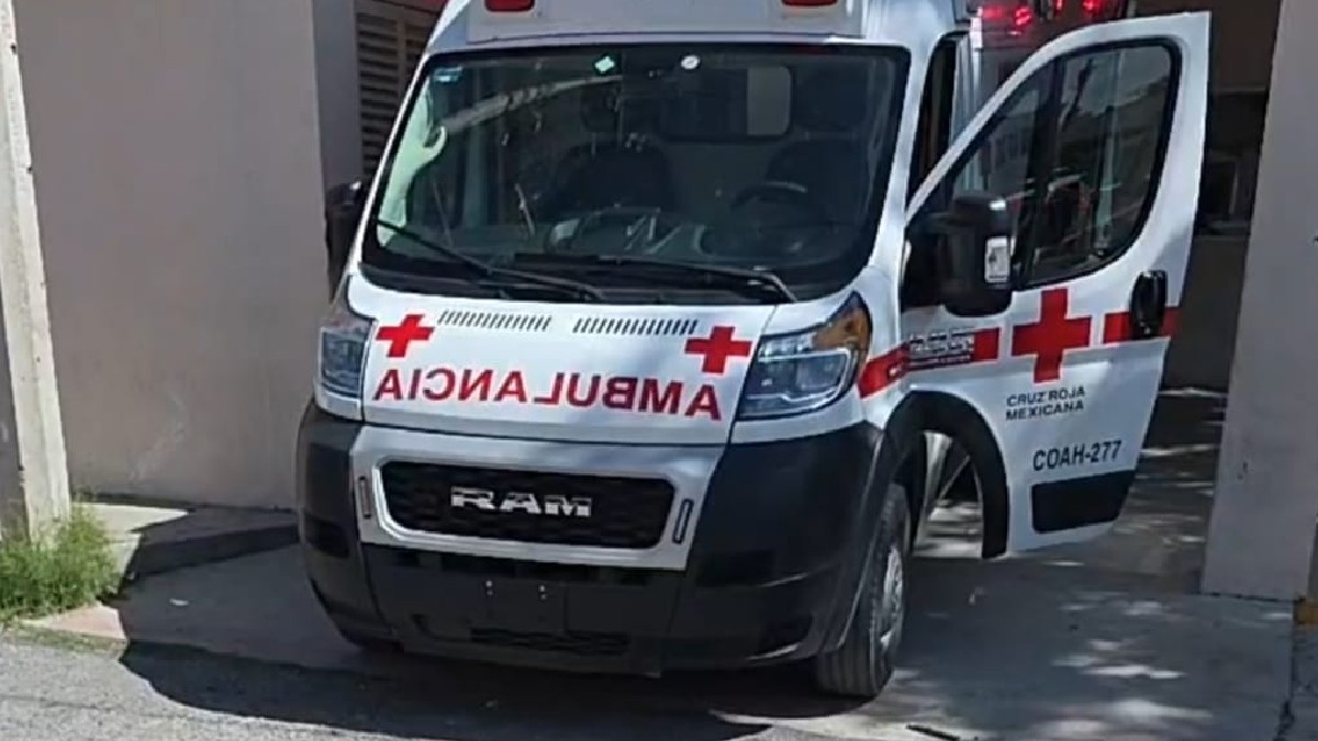 El personal médico del nosocomio informó que la niña fue ingresada en estado delicado