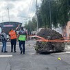 Hasta el momento, una persona resultó lesionada luego de la caída de la roca en Tepeyac. Hasta el momento, una persona resultó lesionada luego de la caída de la roca en Tepeyac.