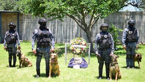 Con una ceremonia solemne, autoridades de la Secretaría de Seguridad Ciudadana de Irapuato despidieron a “Chato”, un perro policía integrante del Grupo K9.
