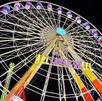 A diferencia de la Feria Estatal de León, el Festival de Verano cuenta con entrada gratuita. A diferencia de la Feria Estatal de León, el Festival de Verano cuenta con entrada gratuita.