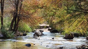 Cerca de Guadalajara se encuentra Cuquío, un destino natural poco conocido con aguas termales profundas, paisajes coloniales y comida típica irresistible.