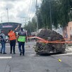 Hasta el momento, una persona resultó lesionada luego de la caída de la roca en Tepeyac. Hasta el momento, una persona resultó lesionada luego de la caída de la roca en Tepeyac.
