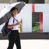 Te compartimos el pronóstico detallado Te compartimos el pronóstico detallado