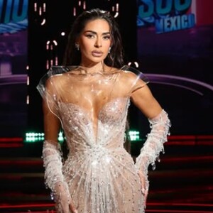 Galilea Montijo lució un espectacular vestido de tul bordado con cristales de la firma mexicana IANN DEY,