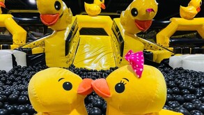 Inflalandia Quack cuenta con diferentes sucursales alrededor de la República Mexicana para todos los niños