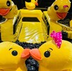 Inflalandia Quack cuenta con diferentes sucursales alrededor de la República Mexicana para todos los niños