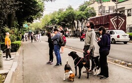 El Sismológico Nacional reporta todos los sismos ocurridos en México.
