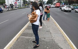 El Sismológico Nacional reporta todos los sismos ocurridos en México.
