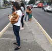 El Sismológico Nacional reporta todos los sismos ocurridos en México.