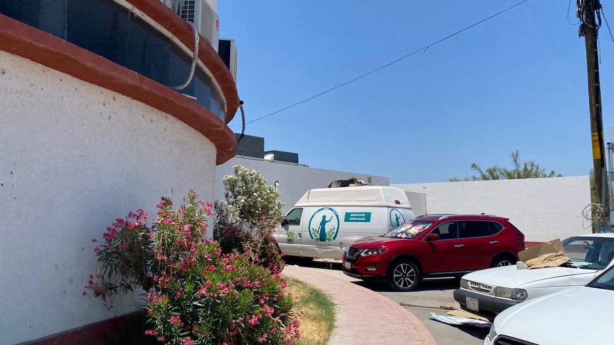 Una mujer, con la simple intención de ver a su hermano, se dirigió a su habitación encontrándolo sin vida en Torreón. Una mujer, con la simple intención de ver a su hermano, se dirigió a su habitación encontrándolo sin vida en Torreón.