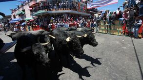 Este 23 de agosto, Huamantla vibra con la Huamantlada 2025: toros en las calles, arte efímero, desfiles y más. ¡Descubre esta tradición única en Tlaxcala!
