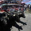 Este 23 de agosto, Huamantla vibra con la Huamantlada 2025: toros en las calles, arte efímero, desfiles y más. ¡Descubre esta tradición única en Tlaxcala! Este 23 de agosto, Huamantla vibra con la Huamantlada 2025: toros en las calles, arte efímero, desfiles y más. ¡Descubre esta tradición única en Tlaxcala!
