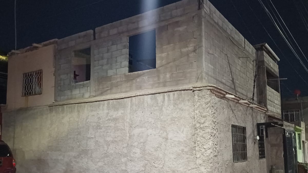 De acuerdo con los afectados, los insectos comenzaron a llegar el pasado viernes 25 de julio y rápidamente construyeron un panal en la vivienda. De acuerdo con los afectados, los insectos comenzaron a llegar el pasado viernes 25 de julio y rápidamente construyeron un panal en la vivienda.