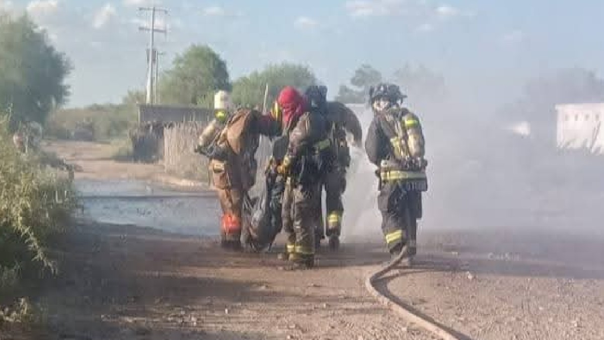 Un hombre de aproximadamente 50 años de edad fue atacado por un enjambre de abejas cerca de la pista de Santa Anita en San Pedro, Coahuila.