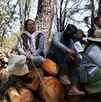 personas en un bosque con árboles deforestados
