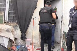 Perro y gallo abandonados en Tonalá
