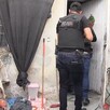Perro y gallo abandonados en Tonalá