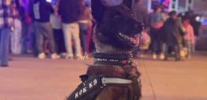 Un entrenador de la unidad es el encargado de ser enlace con las familias interesadas en adoptar un perro y un caballo de la Policía.