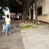 Multa por no barrer banqueta en Guadalajara: ¿Es legal?