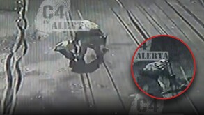 Dueños de los perros que atacaron a hombre en Chalco, aseguran que no es problema de ellos y no le darán ayuda por los hechos