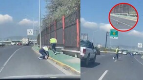 Los empleados fueron corriendo detrás de los patitos para rescatarlos