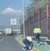 Los empleados fueron corriendo detrás de los patitos para rescatarlos Los empleados fueron corriendo detrás de los patitos para rescatarlos