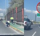 Los empleados fueron corriendo detrás de los patitos para rescatarlos