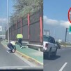 Los empleados fueron corriendo detrás de los patitos para rescatarlos Los empleados fueron corriendo detrás de los patitos para rescatarlos