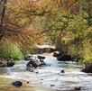 Cerca de Guadalajara se encuentra Cuquío, un destino natural poco conocido con aguas termales profundas, paisajes coloniales y comida típica irresistible. Cerca de Guadalajara se encuentra Cuquío, un destino natural poco conocido con aguas termales profundas, paisajes coloniales y comida típica irresistible.