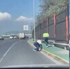 Los empleados fueron corriendo detrás de los patitos para rescatarlos