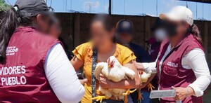'Operación Liberación': Concluye entrega de animales y alimentos decomisados a la Familia Michoacana en Edomex.