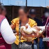 'Operación Liberación': Concluye entrega de animales y alimentos decomisados a la Familia Michoacana en Edomex. 'Operación Liberación': Concluye entrega de animales y alimentos decomisados a la Familia Michoacana en Edomex.