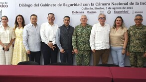 Decomisan más de 9 toneladas de droga y detienen a 65 personas en Sinaloa tras operativos federales